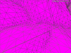 Neon pink Color: Hex Code, Palettes & Meaning