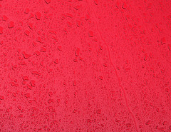 Rusty red Color: Hex Code, Palettes & Meaning