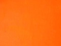 Persimmon Color: Hex Code, Palettes & Meaning