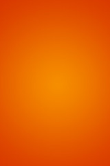 Persimmon Color: Hex Code, Palettes & Meaning