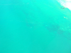 Turquoise Color: Hex Code, Palettes & Meaning