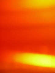 Persimmon Color: Hex Code, Palettes & Meaning