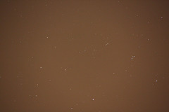 Coffee Color: Hex Code, Palettes & Meaning