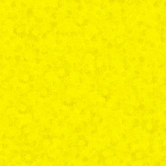 Lemon Color: Hex Code, Palettes & Meaning