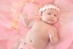 Dusty rose Color: Hex Code, Palettes & Meaning