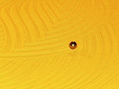 Saffron Color: Hex Code, Palettes & Meaning
