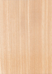 Peach Color: Hex Code, Palettes & Meaning