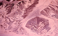 Puce Complementary Color Puce Color: Hex Code, Palettes & Meaning