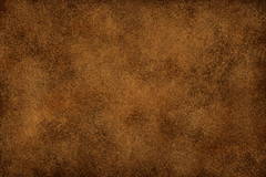 Sepia brown Color: Hex Code, Palettes & Meaning