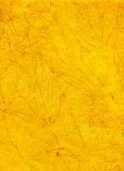 Mango Color: Hex Code, Palettes & Meaning