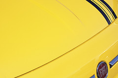 Maize Color: Hex Code, Palettes & Meaning