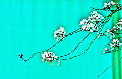 Turquoise blue Color: Hex Code, Palettes & Meaning