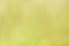 Straw Color: Hex Code, Palettes & Meaning