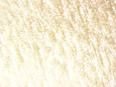 Parchment Color: Hex Code, Palettes & Meaning