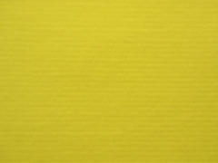 Maize Color: Hex Code, Palettes & Meaning