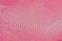 Puce Complementary Color Puce Color: Hex Code, Palettes & Meaning