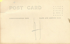 Champagne Color: Hex Code, Palettes & Meaning