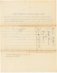 Champagne Color: Hex Code, Palettes & Meaning