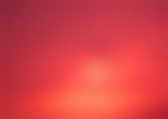 Cardinal red Color: Hex Code, Palettes & Meaning