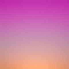 Carnation pink Color: Hex Code, Palettes & Meaning