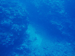 True blue Color: Hex Code, Palettes & Meaning