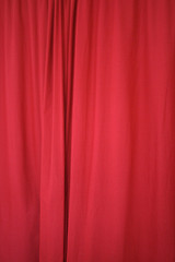 Cardinal red Color: Hex Code, Palettes & Meaning