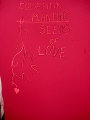 Amaranth Color: Hex Code, Palettes & Meaning