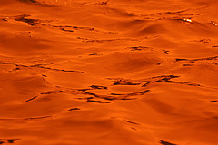 Mahogany Color: Hex Code, Palettes & Meaning