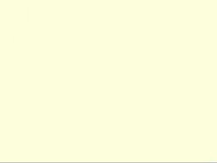 Ivory Color: Hex Code, Palettes & Meaning