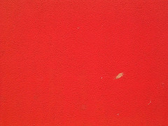 Chili red Color: Hex Code, Palettes & Meaning