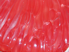 Cardinal red Color: Hex Code, Palettes & Meaning