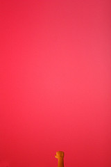 Amaranth Color: Hex Code, Palettes & Meaning