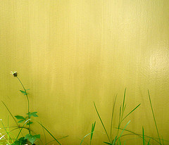 Straw Color: Hex Code, Palettes & Meaning