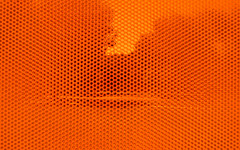 Persimmon Color: Hex Code, Palettes & Meaning